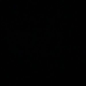 Meet your Posher, Will